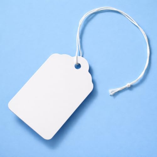 EZDOM Lot de 500 étiquettes de marquage blanches avec ficelle attachée 57 x 37 mm