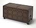 HomeRoots Dark Brown Gemilina Wood Solids, Metal Umbrella Nails Dennard Faux Leather Storage Coffee Table