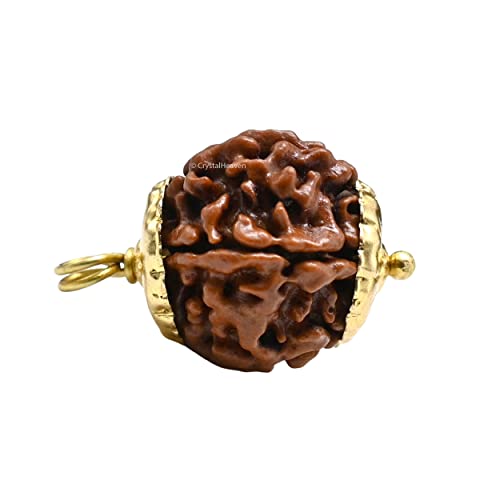 Crystal Heaven Rudraksha Original 6 Mukhi Pendant Necklace for Women Men | Certified Rudraksha with Velvet Pouch (Gold)