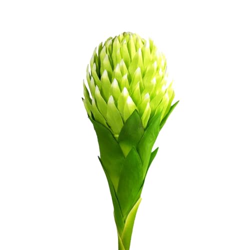 Image of Enhance Your Space with Artificial Leaf Decor Foliage for Stunning Interiors Decorative Items for Home;Office; Room; Living Room; Table; (Without Vase) (Pack of 2, Green)
