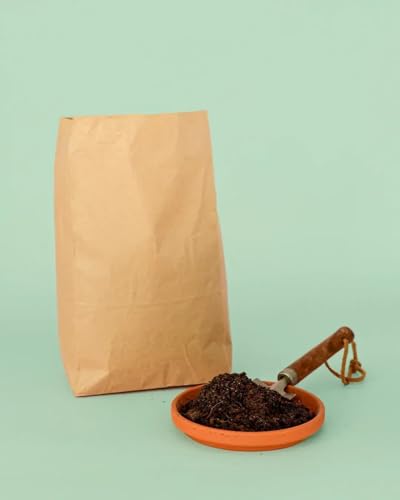 Sustrato para Cactus, Suculentas y Plantas Crasas | Pur Plant