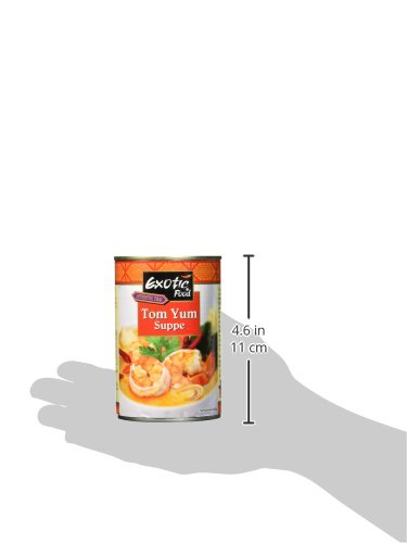 Exotic Food Tom Yum Suppe, servierfertig (1 x 400 ml)