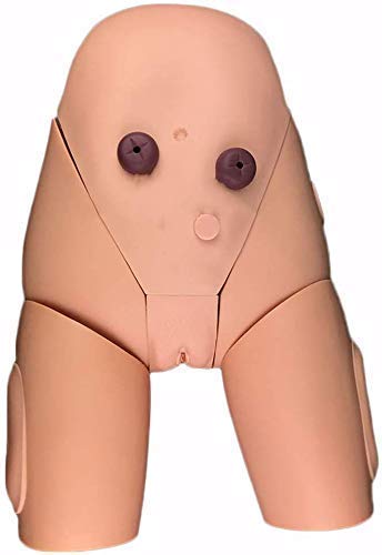 Modèle Simulateur Cathétérisme Homme Femme Ensemble Formateurs Cathétérisme Hommes Et Femmes