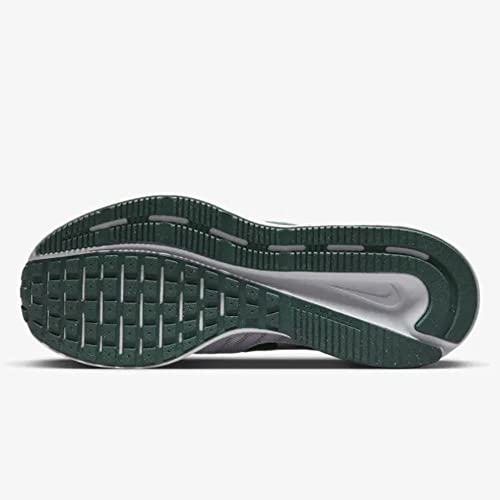Image of NIKE Men's RunAllDay Running Shoes