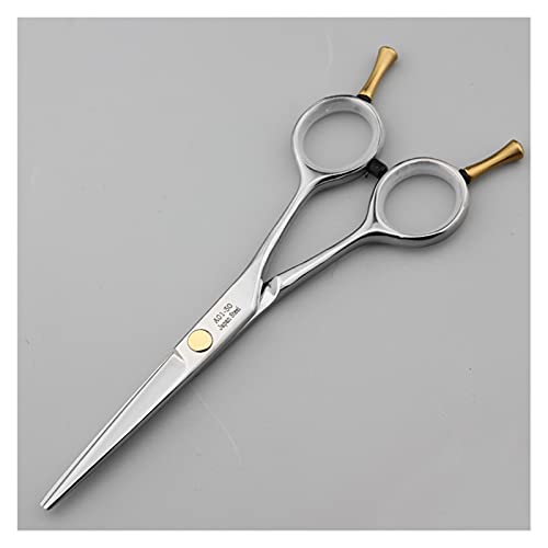 Ciseaux de coiffure professionnels pour coupe et frange