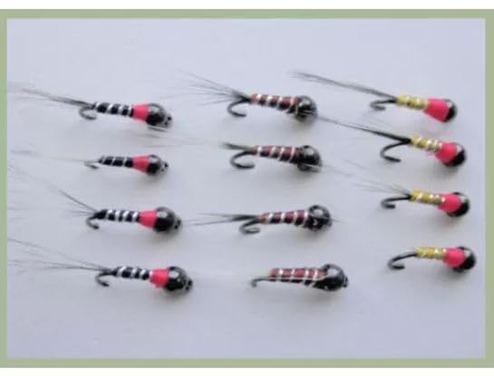 12 moscas ninfas de tungsteno Perdigon para trucha y Grayling, negro, marrón y amarillo, tamaño mixto 10/12