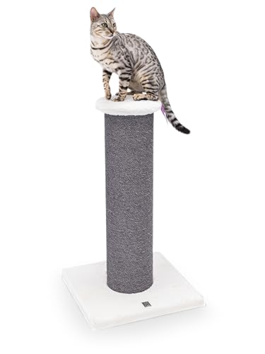 Petrebels Kratzstamm XXL für große Katzen, Kratzbaum Savannah 86 cm hoch, Kratzsäule mit Ø 20 cm Dicke Stämme, Farbe Off-White