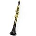 Clarinet Instrument A Professional Orchestra Performance Grade A Wood Gold-plated Clarinet for Beginner