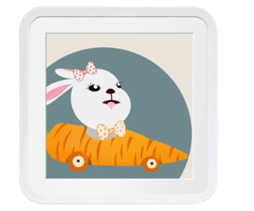 ̃oX[ǉ[{bNXAߗނ̕ۊǗpAp`t[̃oX[܂肽ݎ[bNAoX[̎[ƉƂ̑AoX[̃hXAbvɍœKł (I)