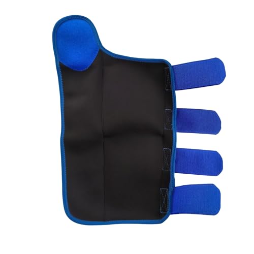 Generisch Equitación, cuidado de caballos, protección contra picaduras de mosquitos (azul)