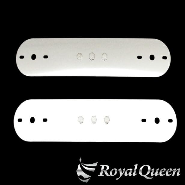 Amazon | 【Royal Queen】ホイールマーカーステーA 鏡面 17.5インチ