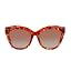 Red Demi Frame / Gradient Brown Lens