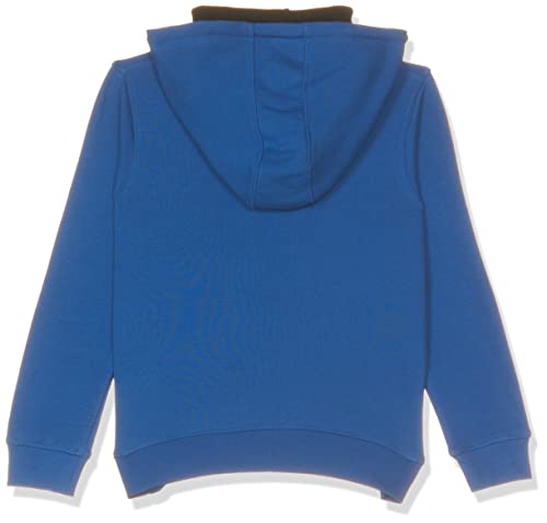 Image of Frozen Baby-Boys Sweatshirt