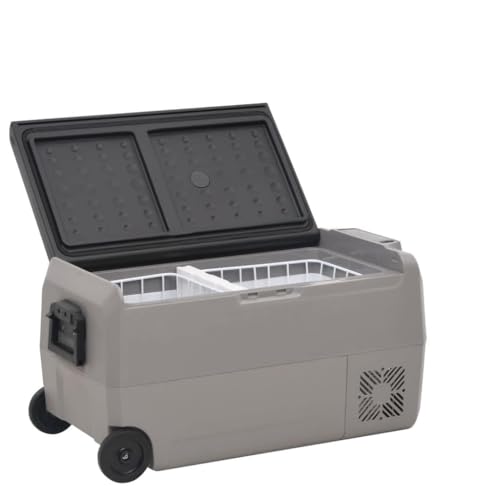 Muebles Home Nevera con Rueda y Adaptador Negro y Gris 50L PP y PE Muebles