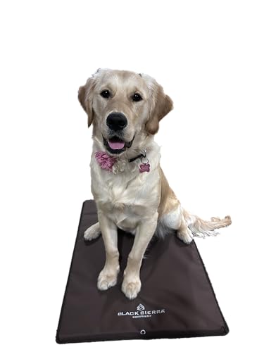 Black Sierra ^ppbhA1C`̃pbh̐@76.2 cm x 45.7 cmA◷ŝ߂̖hN[gNbVAvŊɂybgpQ}bg