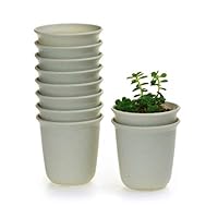 Algopix Similar Product 4 - T4U 3 Inch Plastic Round Plant