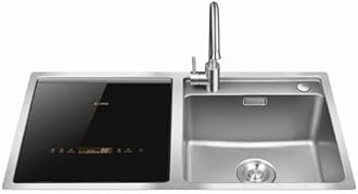 FOTILE SD2F Stainless Steel Kitchen In-Sink Dishwasher Combination, Heavy Gauge Bowl Dish Sanitizing, Energy-saving Countertop Dishwasher (SD2F-P3L)