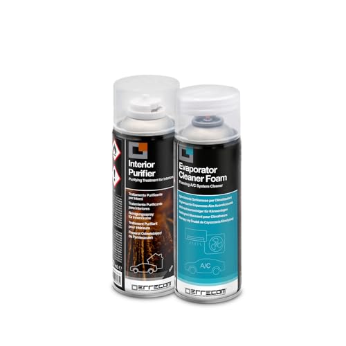 ERRECOM Total Care, Tratamiento purificador Completo para Sistemas de climatización de los autovehículos y habitáculos, Fragancia a Oud, 2 Botes de 200 mL