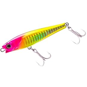 Amazon.co.jp: シーバス・ヒラメルアー - 釣り: スポーツ