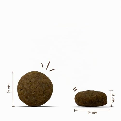 bosch HPC Special Light | Hundetrockenfutter zur eiweiß- und mineralstoffreduzierten Ernährung | 1 x 12.5 kg, Hund