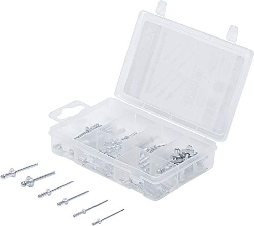 Forza Uomo Rivetti Ciechi Assortimento, 70 Pezzi, 88142