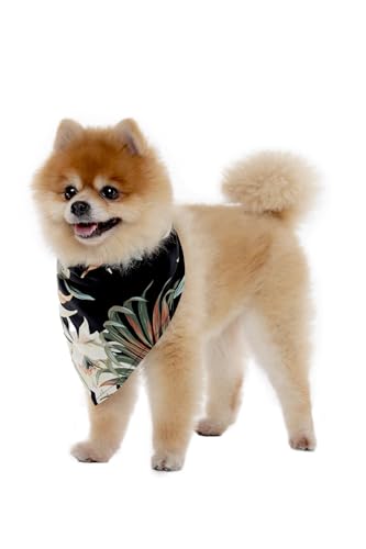 Image of Family Matching Hawaiian Clothes, Wispy Cereus Black | Lightweight 100% rayon • Family matching outfits • Tropical floral print • Beach vacations • Luaus • Cruises • Family photos