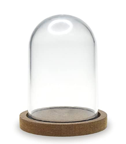 Terrarium Plastic Clear Dome with Wood Base - DIY Crafts - 3.14 Inches Tall