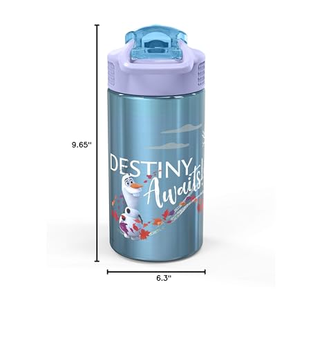Zak Designs Frozen II 15.5oz Stainless Steel Kids Water Bottle with Flip-up Straw Spout - BPA Free Durable Design, (Elsa And Anna) (FRZA-S730-C)