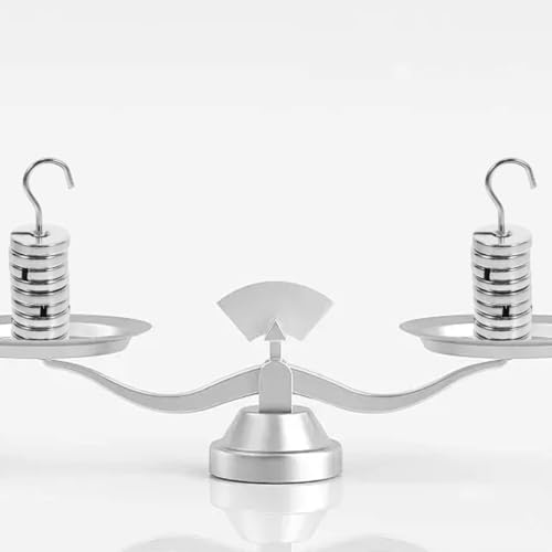 PACKOVE Metall Schlitzgewichte Labor Gewichtssatz 100g 9 X 10g Gewichte mit Haken Chrombeschichtet Kompakt für Präzise Kalibrierung und Experimente