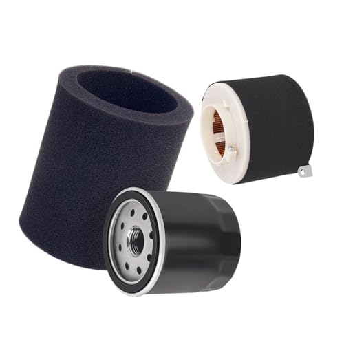 Filtre à air et filtre à huile moto pour KAF400 600 610 4x4 XC SE