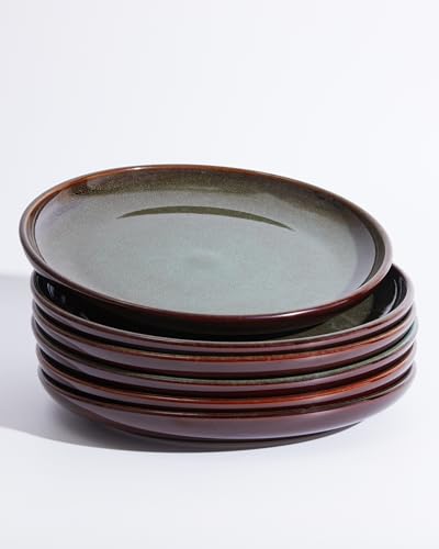 Image of Pokini Ceramic Dinner Plates Set of 6, 10inch Salad, Dessert Plates Dishes