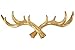 Produktbild Hansmeier® Geweih Wandgarderobe Kleiderhaken Garderobenhaken | Gold | Für Außen, Innen, Balkon & Garten | 49 cm | Deko Hirschgeweih | Mehrzweckhaken und Wanddeko | Hohe Tragkraft