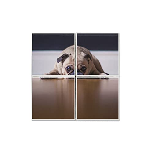 Carreaux Céramique Chien Carlin - Une touche de tendresse pour les passionnés