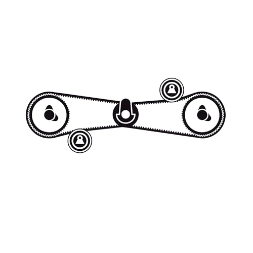 Skf Vkma 02500 Kit Tendicinghia Distribuzione