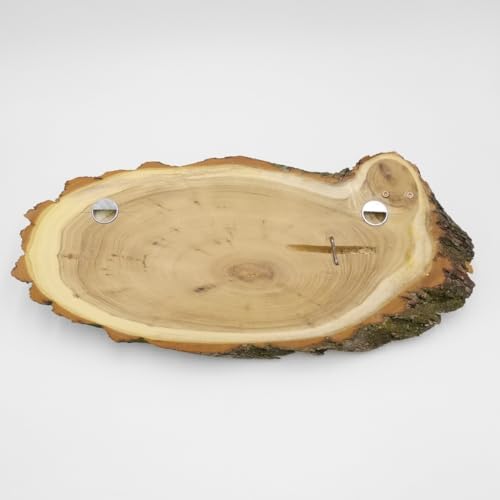 GTK - Geweihe & Trophäen KRUMHOLZ Geweih Garderobe Akazienschild Rehgeweih Wandgarderobe 3 Doppelhaken 27.8.64