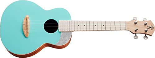 aNueNue aNN-UC10-IG(Ice Green) RT[gENqAkGkGr
