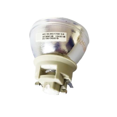 Ampoule de projecteur RLC-117 pour vos soirées cinéma PX727-4K
