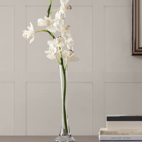 Vase moderne et simple transparent pour valoriser de grandes fleurs séchées
