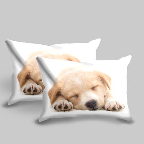 Leleyouzer Hund Bettwäsche Set, Hundemuster Bettwäsche für Jungen Mädchen Teenager, 1pc Mikrofaser Bettbezug mit Reißverschluss und 2pc Kissenbezug 50 x 75cm (D1, 135×200 cm)