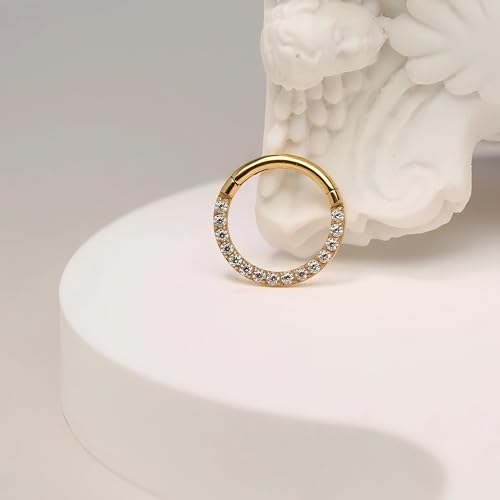 Image of PEAKLINK 16G 18G 316L Stainless Steel CZ /OPAL Septum Piercing Septum Clicker Ring Hinged Nose Ring Daith Earrings Conch Piercing Jewelry Helix Cartilage Tragus Lobe Belly Hoop Earring
