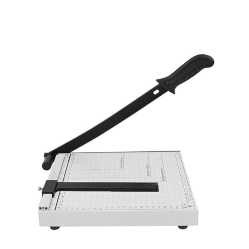 fancyflypy[p[Jb^[ ϋv M` y[p[g}[ J[hXgbN^x[Xp z[ItBXp (10 X 10C`iB 5j)