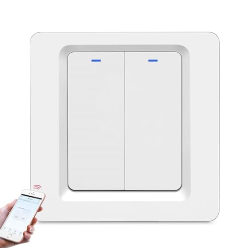 INF Smart switch, WiFi light switch, WiFi switch, wireless switch, 2-pin, voice control, remote control, timer, smart home