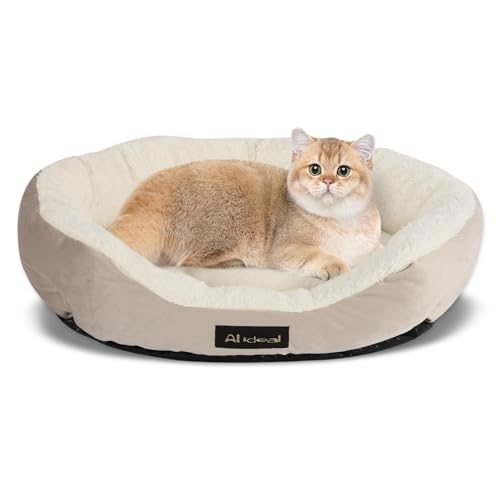 AIideal?ӂybg}bg֐߂? 􂦂锪p`ybgxbhb~ߒ+RۖhLdlbVLE쌢̂萇T|[g (AbV, 48*35)