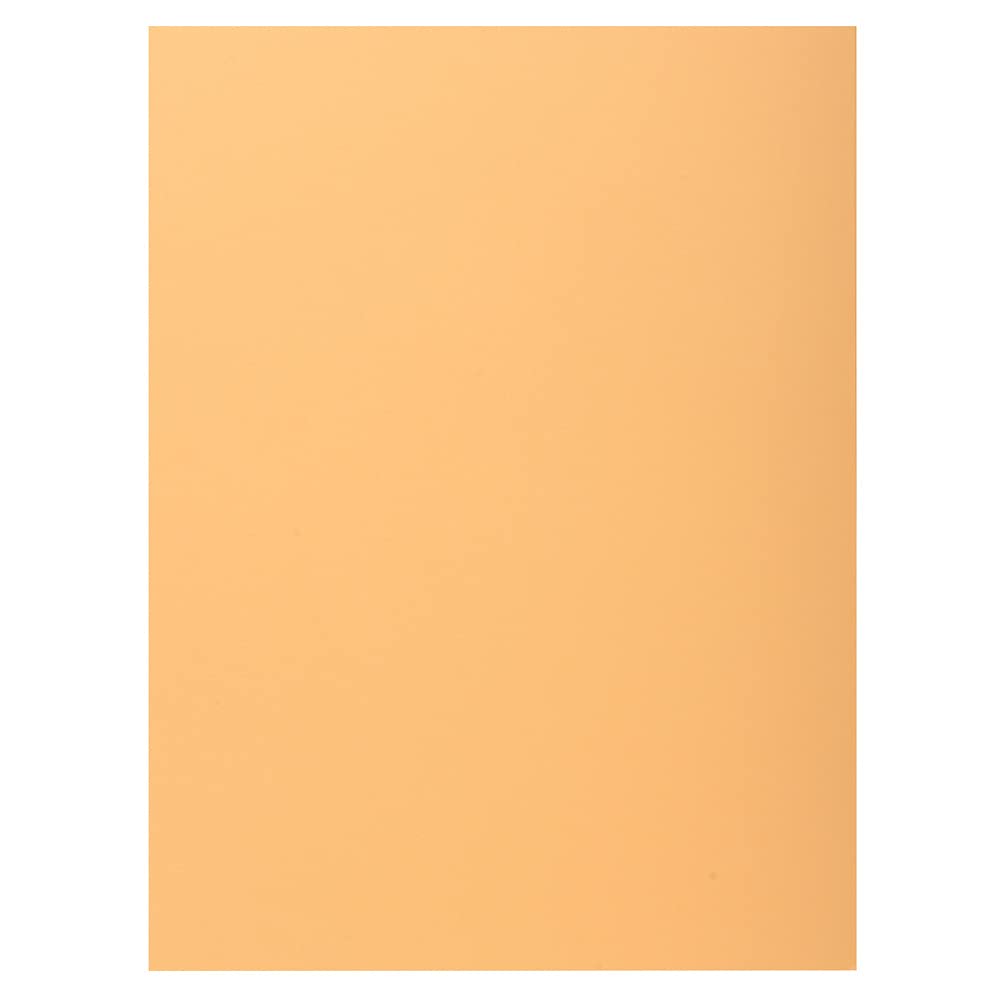 Exacompta - Art.-Nr. 339002E – Karton mit 5 Packungen mit je 50 Schnellhefter mit 1 Klappe SUPER 210 g/m² – Pastellfarben – PEFC™-zertifizierte Mappen – Maße: 24 x 32 cm für DIN A4 – Farbe Blase