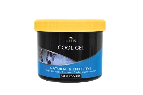 Lincoln Cool Gel 400G