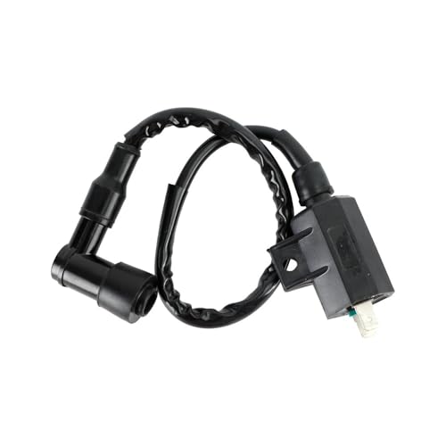 Bobine d'allumage pour KLF220 KLF250 avec étincelle stable pour un démarrage instantané