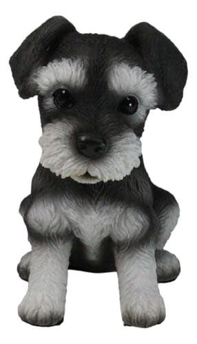 Ebros Realistic Miniature Schnauzer Puppy Statue 5.75