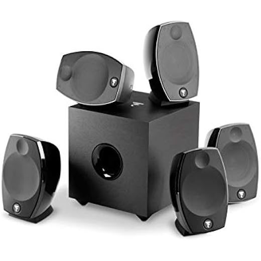 Focal SIB Evo 51 Channel Home Cinema System RCA Subwoofer B