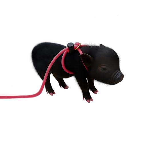 12-Foot Mini Pig Harness - Adjustable Harness & Leash for