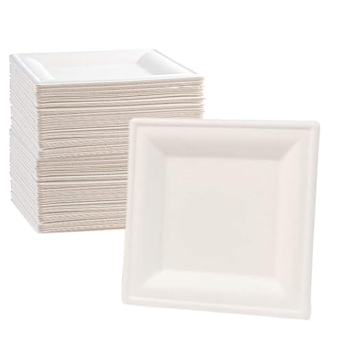 various Platos Desechable 100 piezas,Vajilla Ecológica y Biodegradable,Caña de Azúca Blanca Plato Desechables Extrafuertes Cuadrado 16cm para Fiestas,Camping,Picnic,Barbacoas